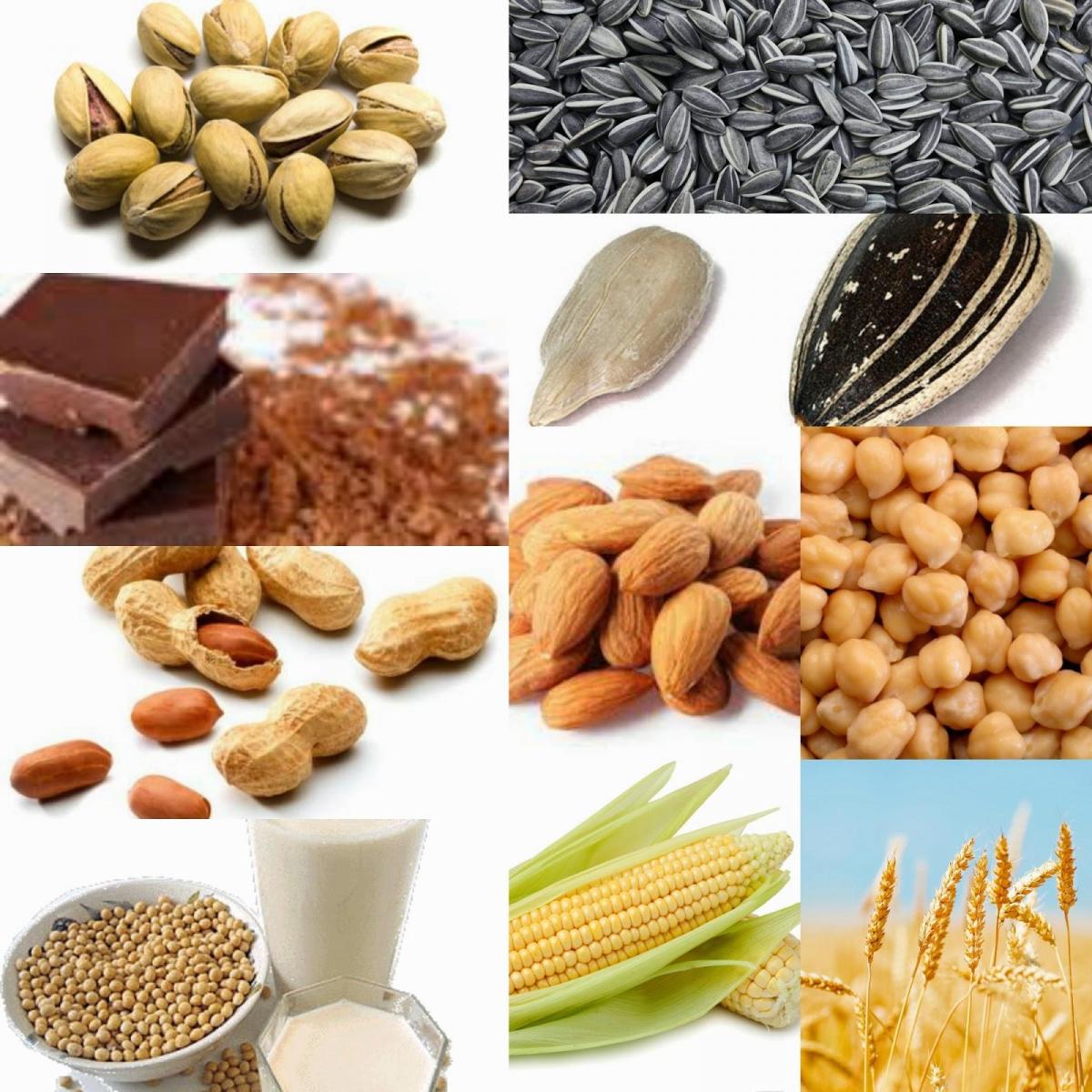 Μαγνήσιο και διατροφή Μαγνήσιο και διατροφή