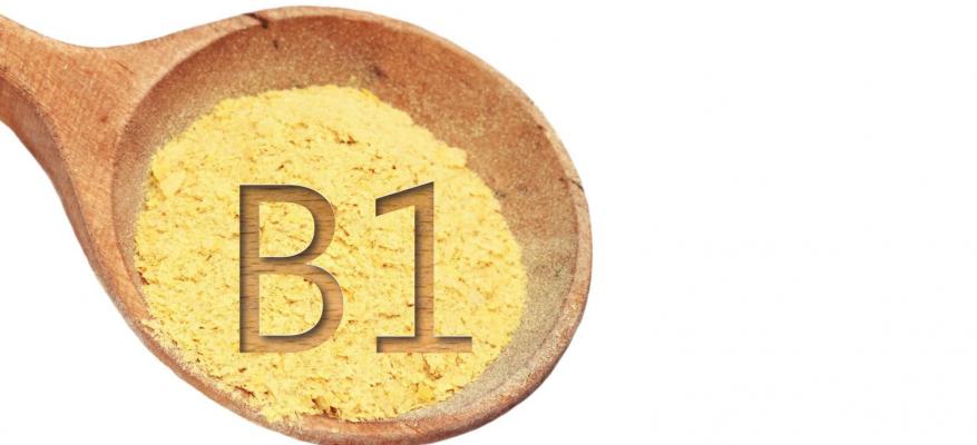 Τα πάντα για την Βιταμίνη Β1(θειαμίνη)